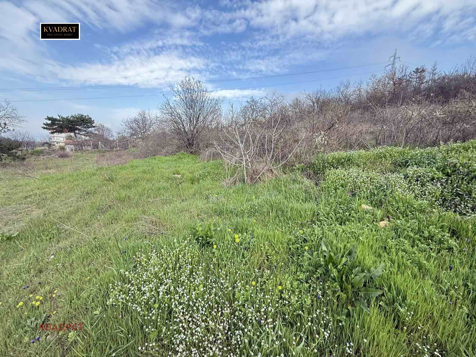 ������� ������ | Imot.bg � ����������� 2