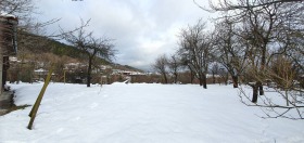 ������� ������ | Imot.bg � ����� ������ 5