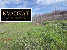 ����� ������� ������,���� �����, �-� �������