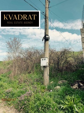 ����� ������� ������,���� �����, �-� �������