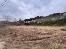 ������� ������ | Imot.bg � ����� ������ 5