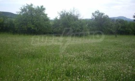 ������� ������ | Imot.bg � ����� ������ 13