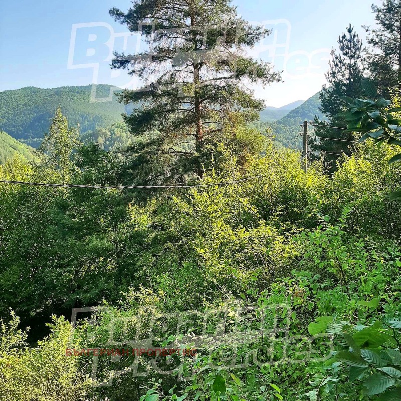 На продаж  Вілла область София , Батулия , 56 кв.м | 84930768 - зображення [9]