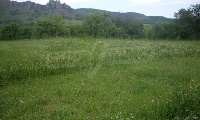 Продава ПАРЦЕЛ, с. Боровица, област Видин, снимка 17 - Парцели - 56515991