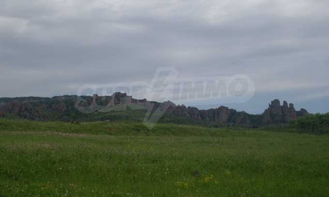 Продава ПАРЦЕЛ, с. Боровица, област Видин, снимка 2 - Парцели - 56515991