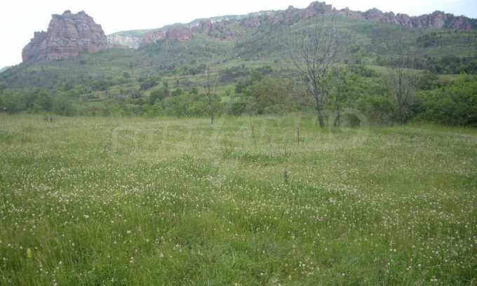 Продава ПАРЦЕЛ, с. Боровица, област Видин, снимка 10 - Парцели - 56515991