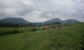 Продава ПАРЦЕЛ, с. Боровица, област Видин, снимка 5