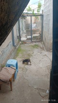 Продава КЪЩА, град Шумен, Бялата пръст • 100000 лв. • 57564052 — Holmes.bg