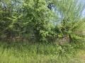 Продава ПАРЦЕЛ, с. Туркинча, област Габрово, снимка 5