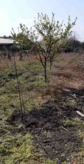 Продава ПАРЦЕЛ, област Бургас, с. Каменар • 124320 € / 243148.79 лв. • 63566859 4