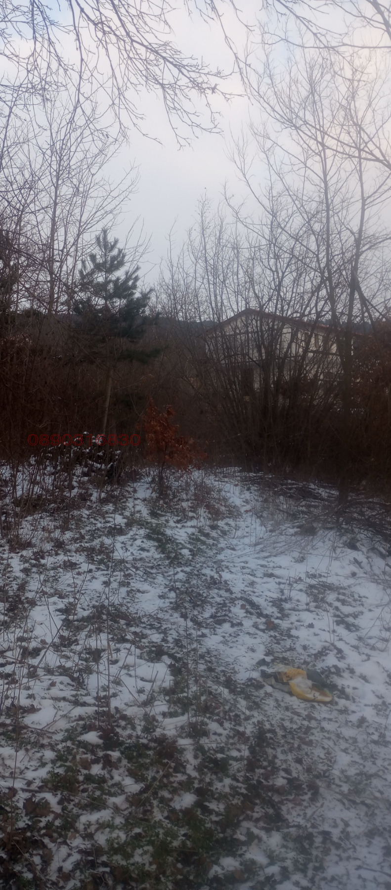 ������� ������ | Imot.bg � ����������� 5