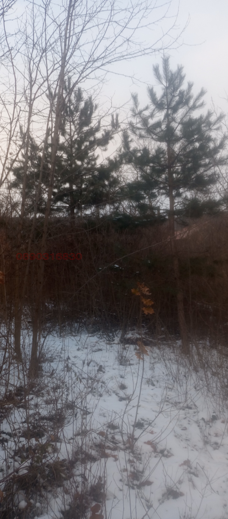 ������� ������ | Imot.bg � ����������� 7