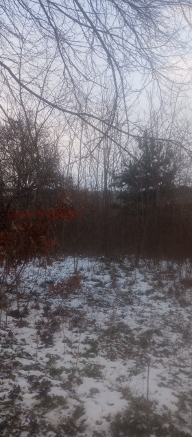 ������� ������ | Imot.bg � ����� ������ 6