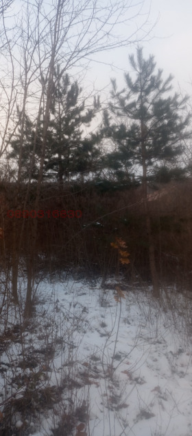 ������� ������ | Imot.bg � ����� ������ 7