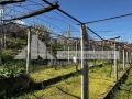 Продава ПАРЦЕЛ, гр. Кричим, област Пловдив, снимка 1