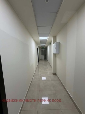 ����� ������� 2-�����,���� ������, �����