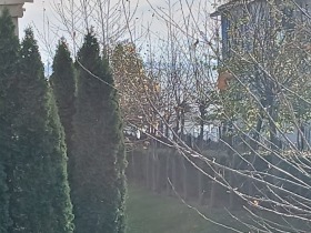 ������� 3-����� | Imot.bg � ����� ������ 15