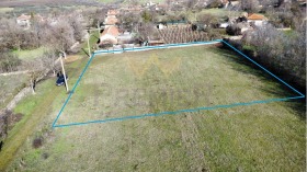 ����� ������� ������,�. ������ ���, ������ �����