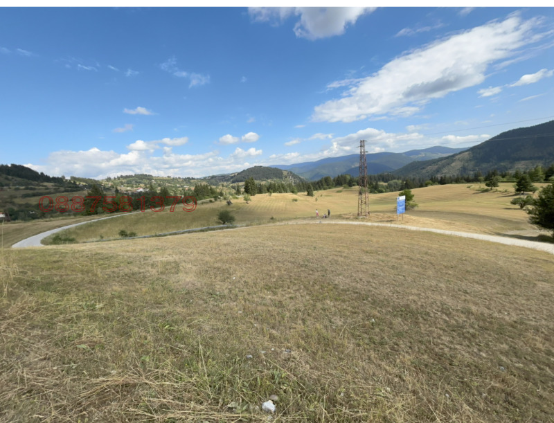 Продава ПАРЦЕЛ, с. Гела, област Смолян, снимка 7 - Парцели - 52782226