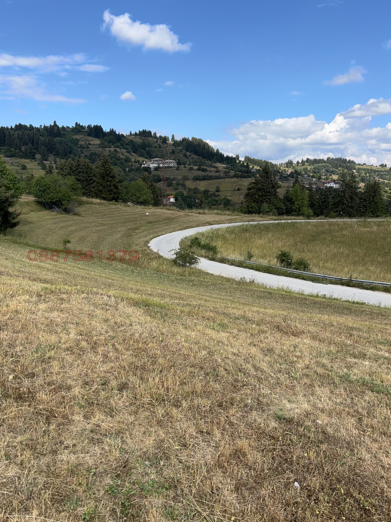 Продава ПАРЦЕЛ, с. Гела, област Смолян, снимка 4 - Парцели - 52782226