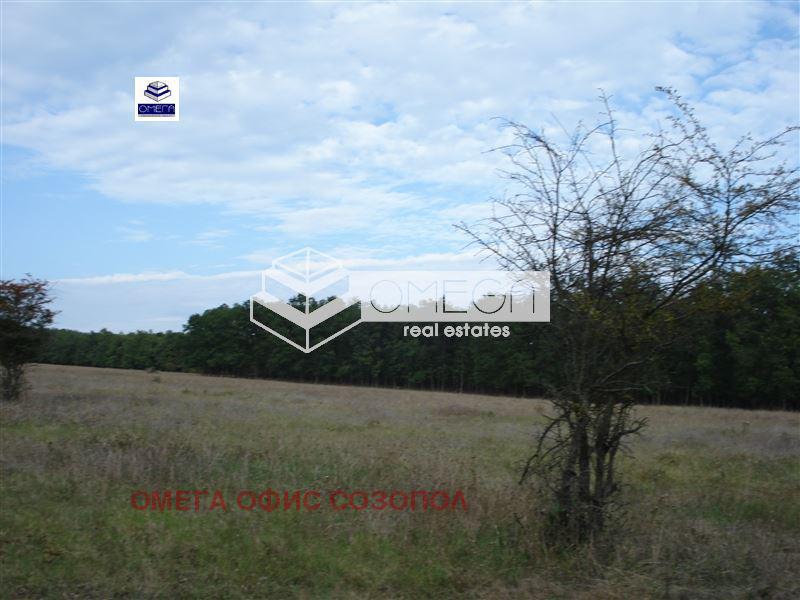 Продава  Земеделска земя област Бургас , с. Веселие , 40 дка | 77071777 - изображение [4]