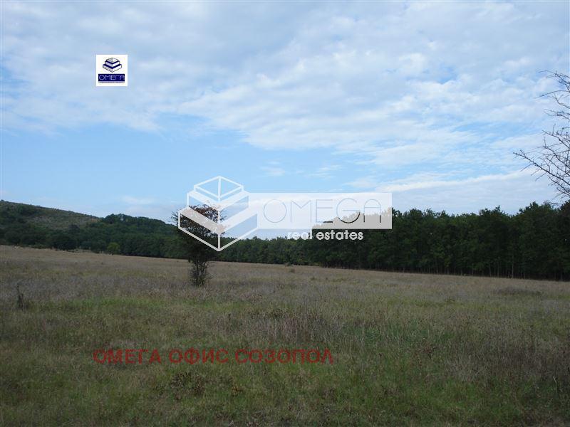 Продава  Земеделска земя област Бургас , с. Веселие , 40 дка | 77071777 - изображение [5]