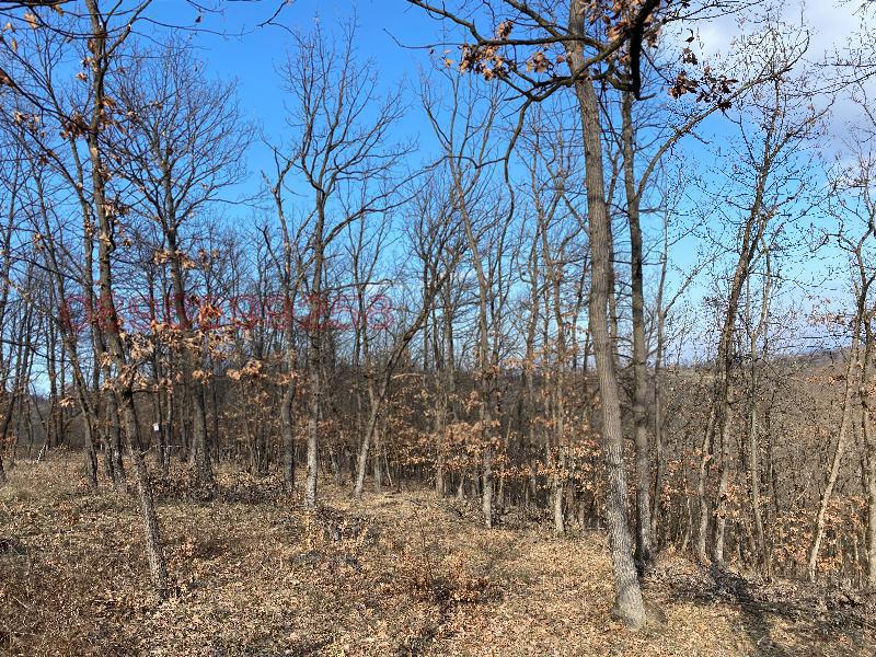 Продава ПАРЦЕЛ, гр. Роман, област Враца, снимка 3 - Парцели - 52785807