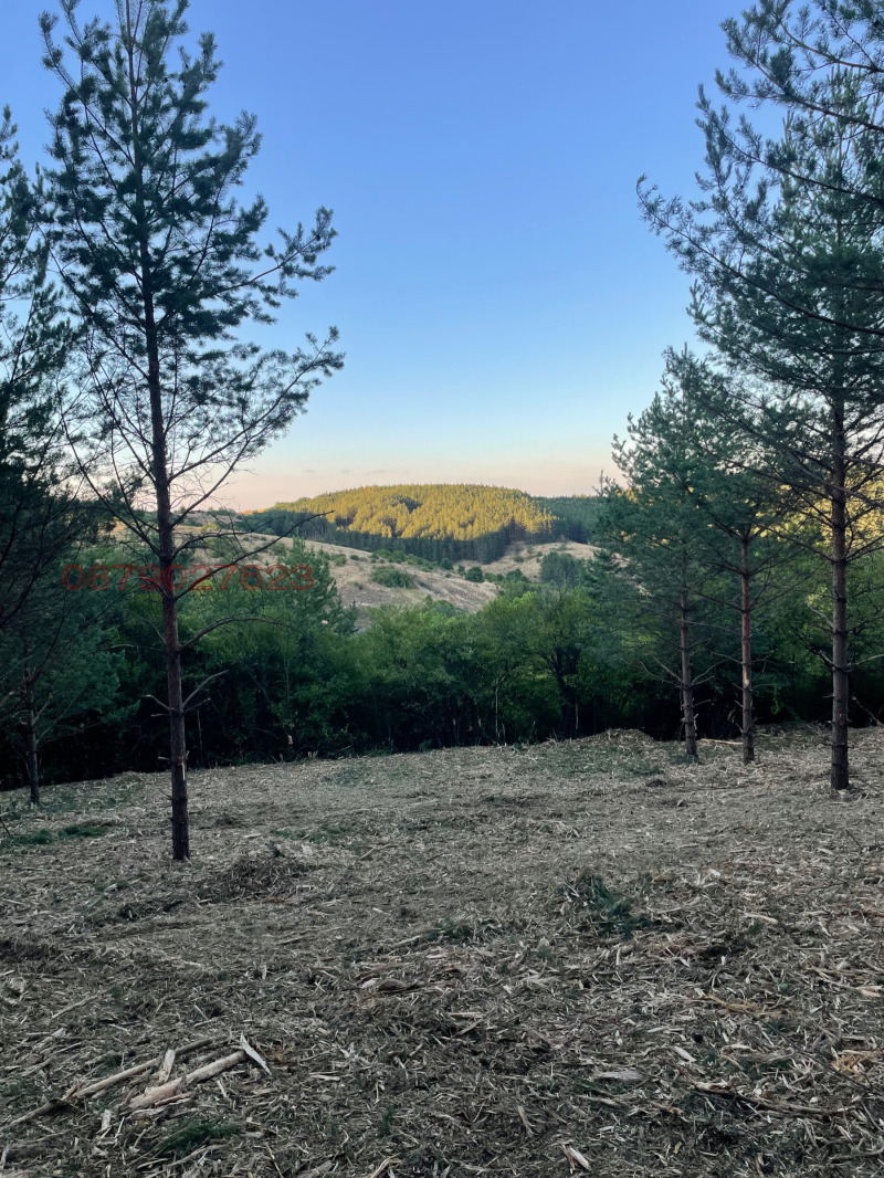 À venda  Trama Sofia , Bankia , 1797 m² | 13733806