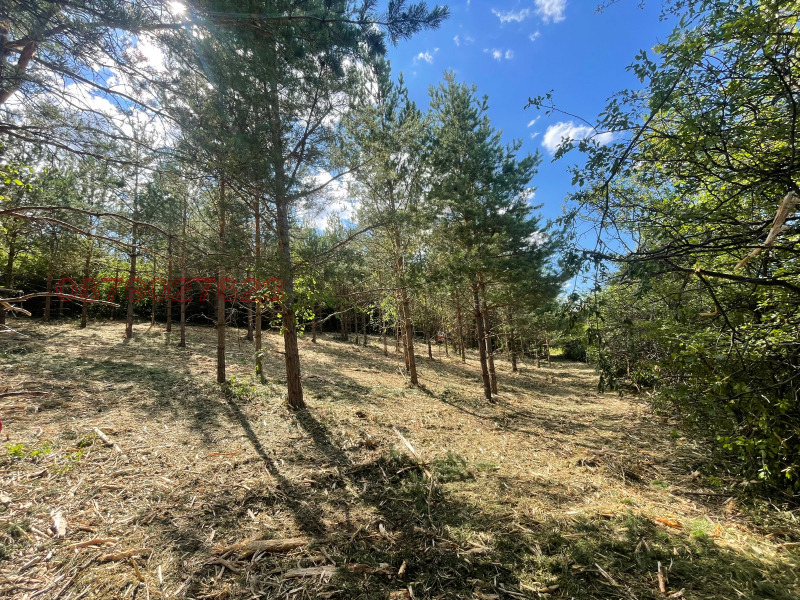 À venda  Trama Sofia , Bankia , 1797 m² | 13733806 - imagem [3]