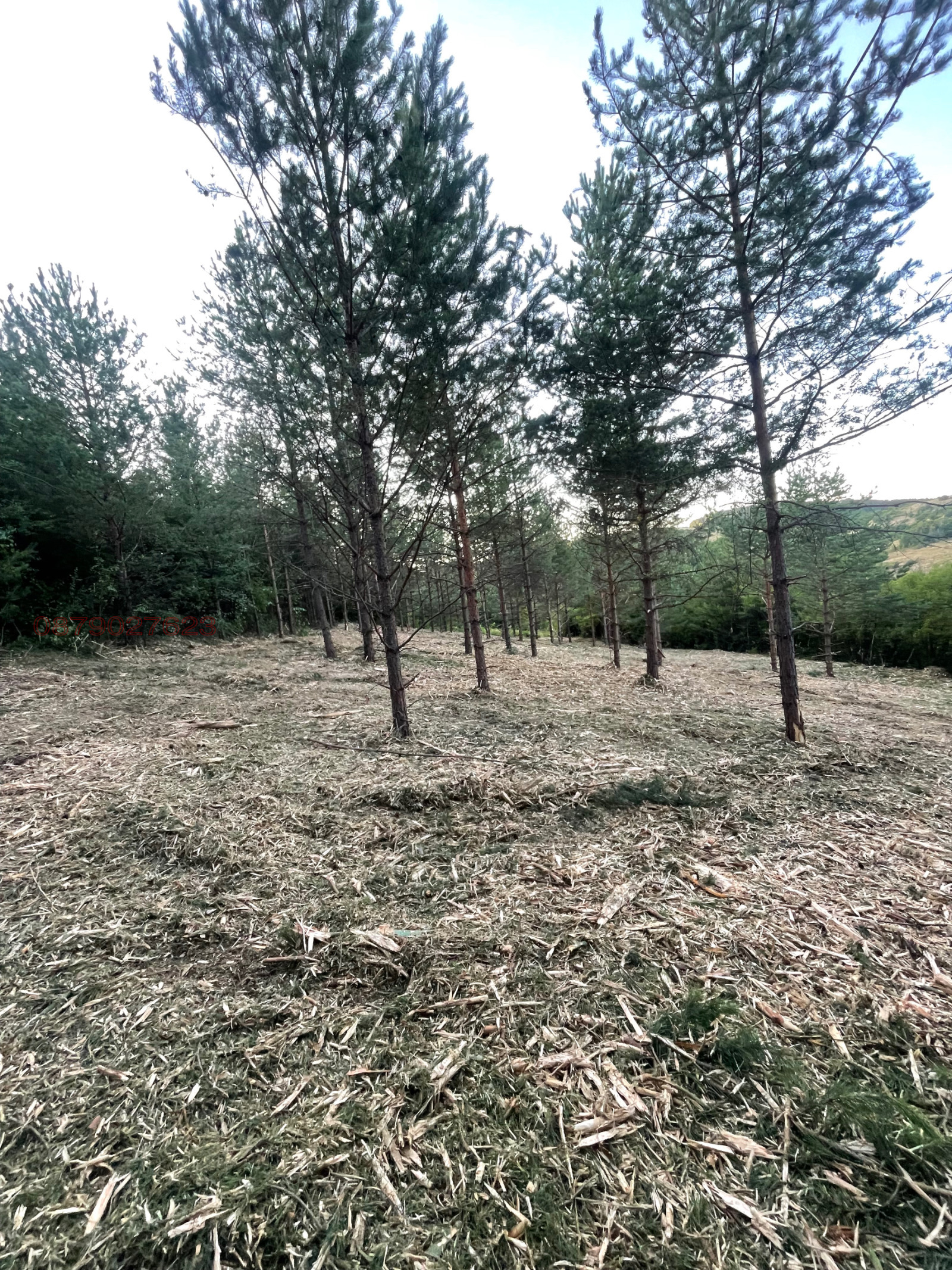 Продава ПАРЦЕЛ, гр. София, гр. Банкя, снимка 4 - Парцели - 54339990