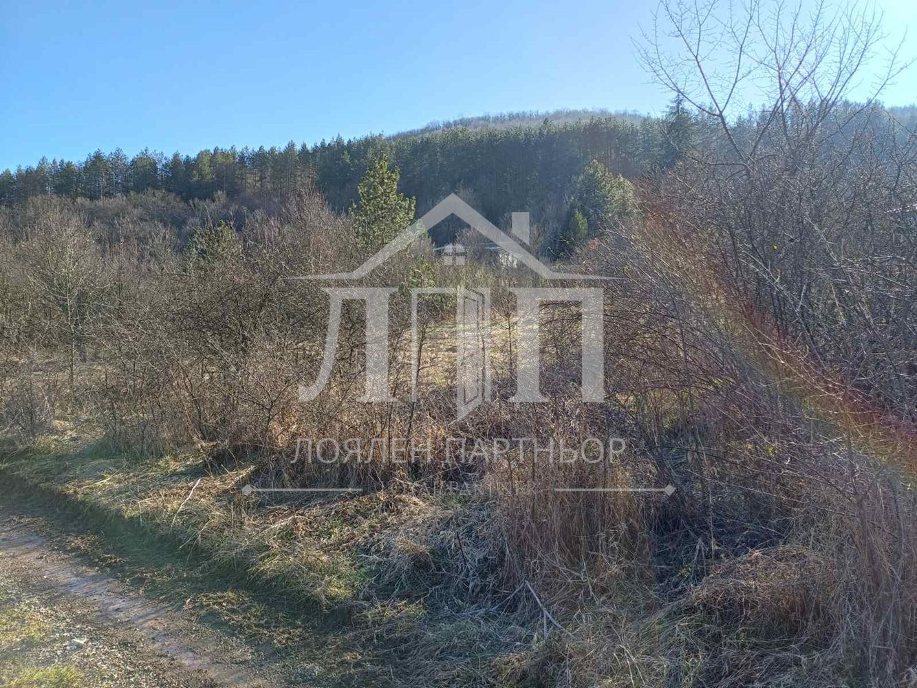 Продава ПАРЦЕЛ, с. Остра могила, област Стара Загора, снимка 2 - Парцели - 53854770
