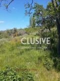 Продава ПАРЦЕЛ, град Варна, Изгрев • 216102 € • 25233300 — Holmes.bg