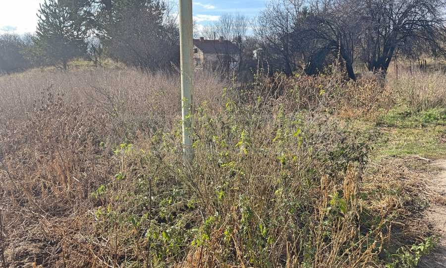 Продава ПАРЦЕЛ | Imot.bg — изображение 8