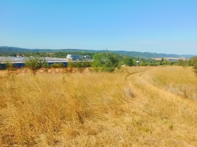 ����� ������� ������,���� ������ �������, ���� ������