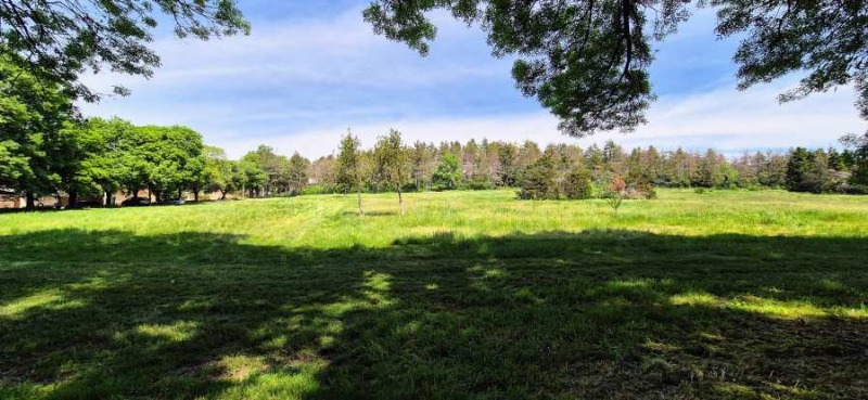 Na prodej  Podlaha domu oblast Veliko Tarnovo , Pavlikeni , 100 m2 | 81036968 - obraz [2]