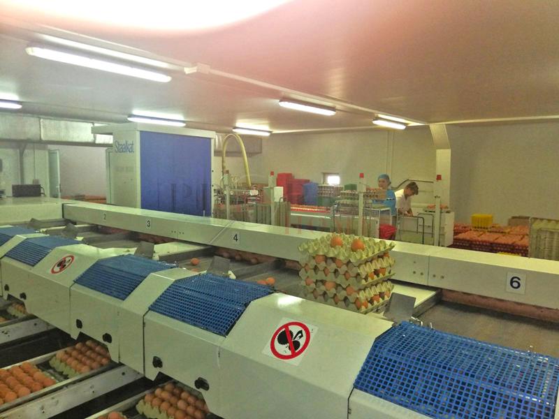 Продава ФЕРМА | Imot.bg — изображение 5