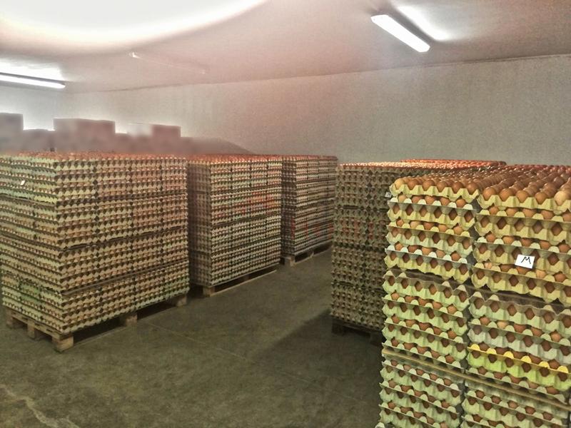 Продава ФЕРМА | Imot.bg — изображение 9