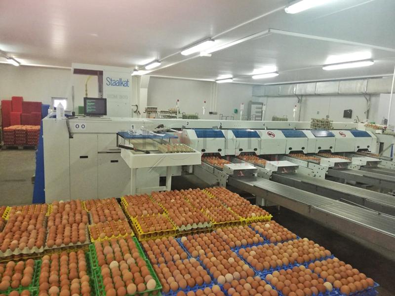 Продава ФЕРМА | Imot.bg — изображение 8