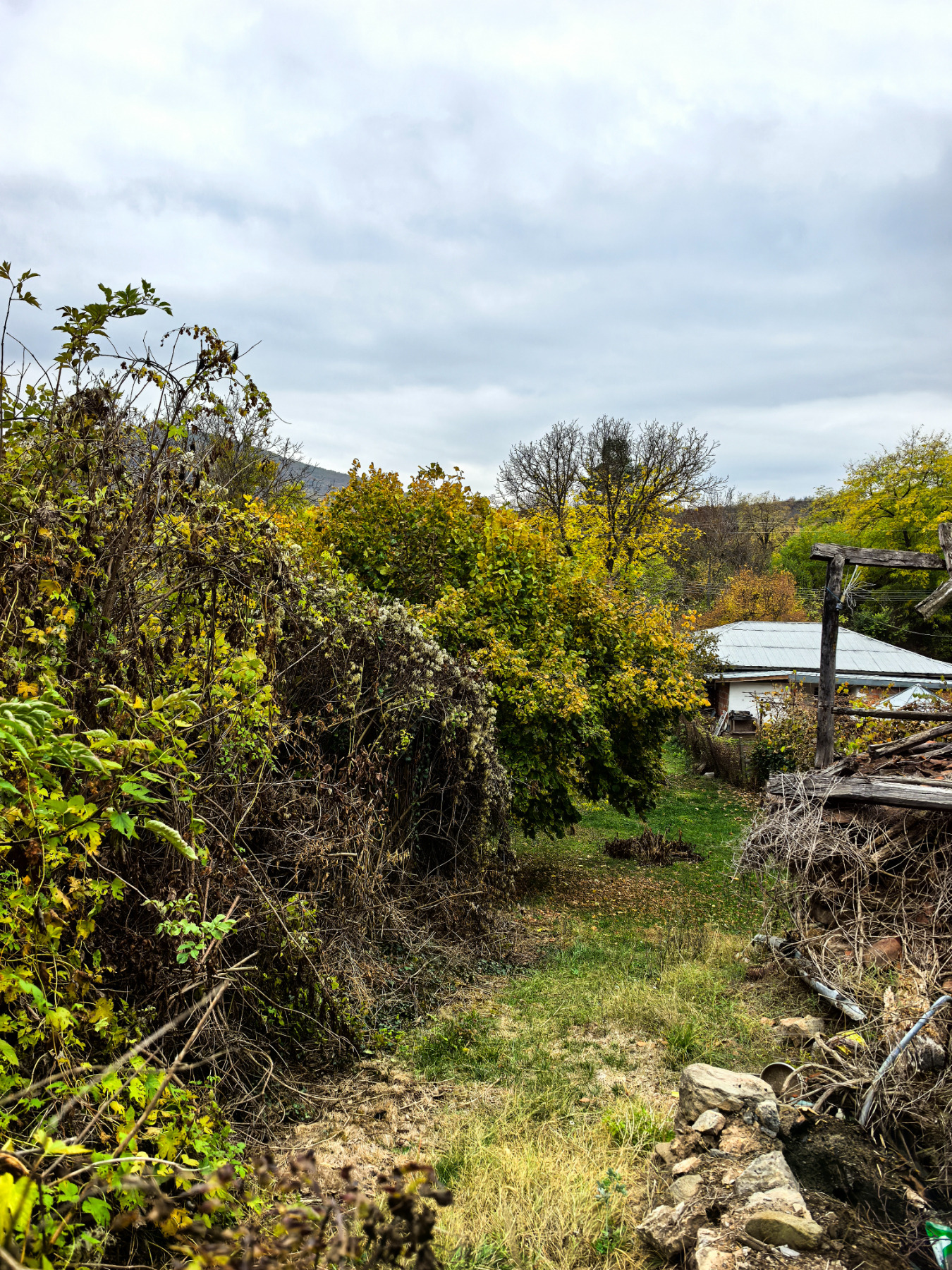 ������� ������ | Imot.bg � ����������� 1