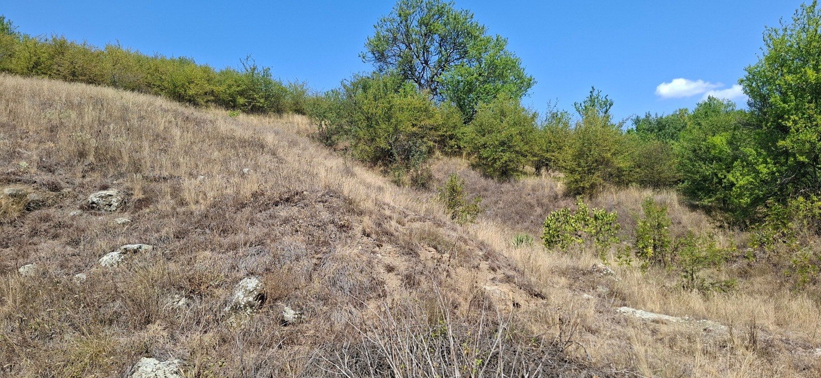 ������� ���������� ���� | Imot.bg � ����������� 2