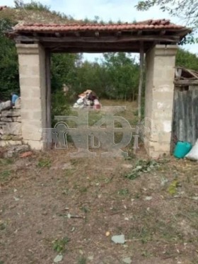 Trama Chayka, región Varna