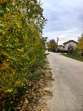 ������� ������ | Imot.bg � ����� ������ 5