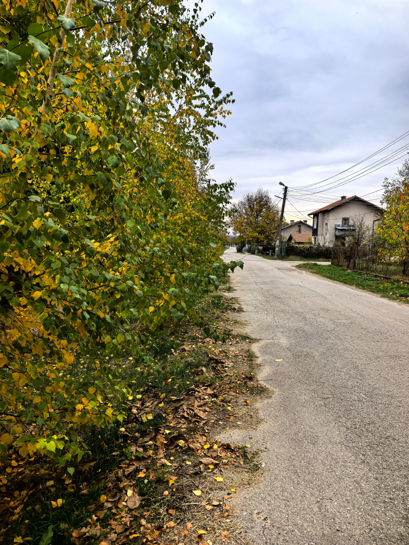 Продава ПАРЦЕЛ, с. Лобош, област Перник, снимка 5 - Парцели - 56658402