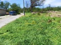 Продава ПАРЦЕЛ, с. Засмяно, област Варна, снимка 2