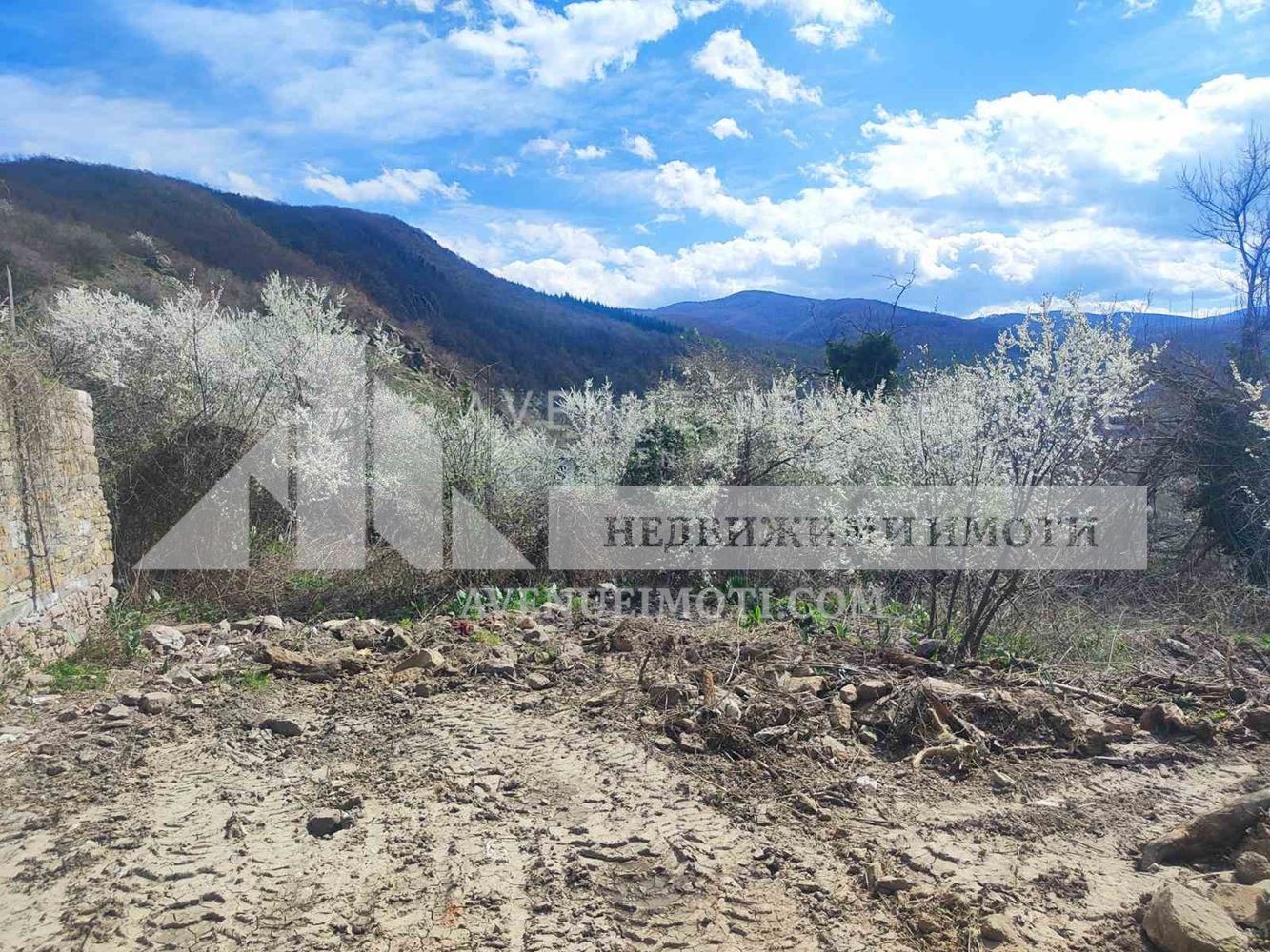Продава ПАРЦЕЛ, с. Жребичко, област Пазарджик, снимка 4 - Парцели - 54130860