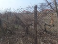 Продава ПАРЦЕЛ, с. Алеко Константиново, област Пазарджик, снимка 2