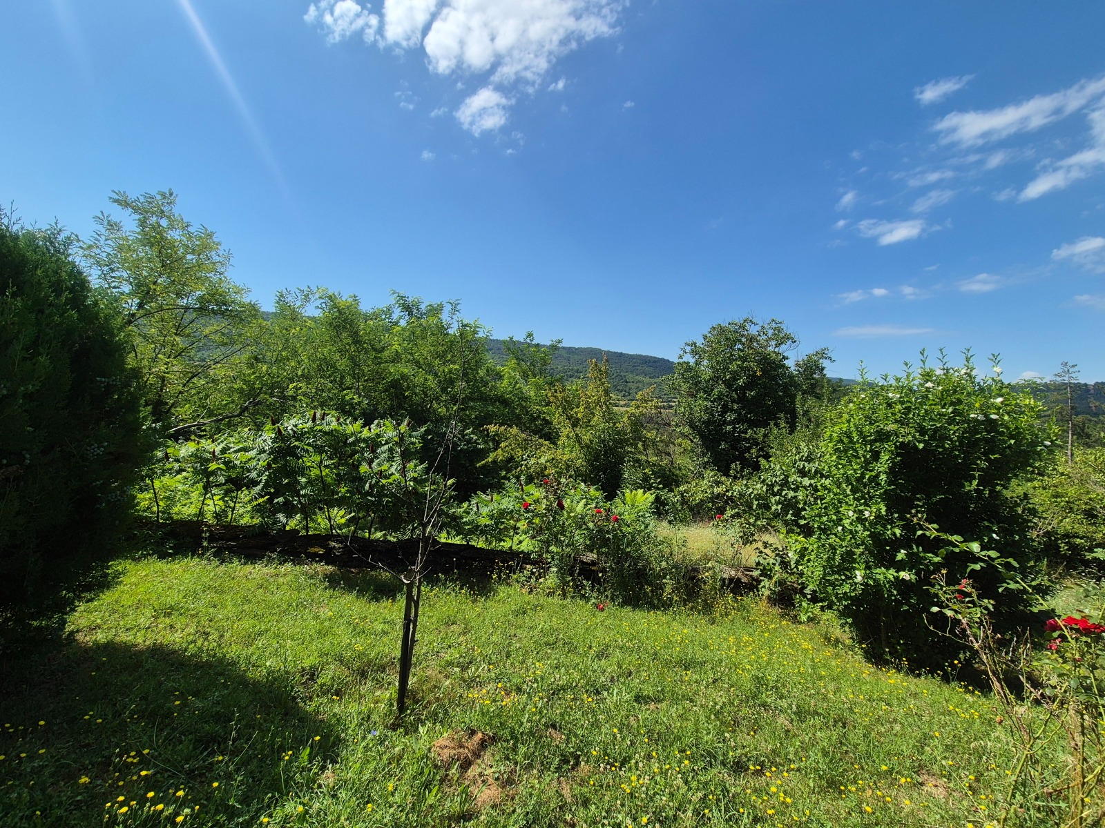 ������� ���� | Imot.bg � ����������� 17