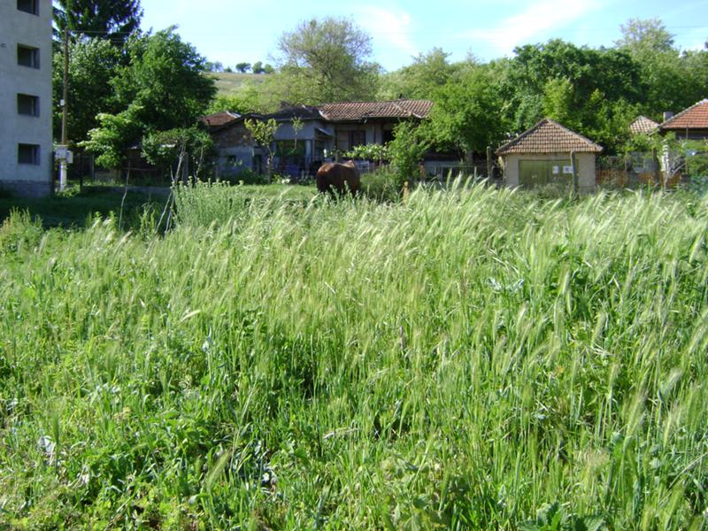 Продава КЪЩА, с. Кайнарджа, област Силистра, снимка 6 - Къщи - 52783155