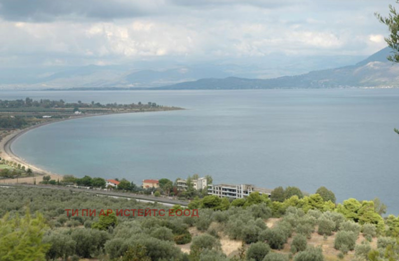 Продава ХОТЕЛ, Извън страната, област Извън страната, снимка 11 - Хотели - 53576417