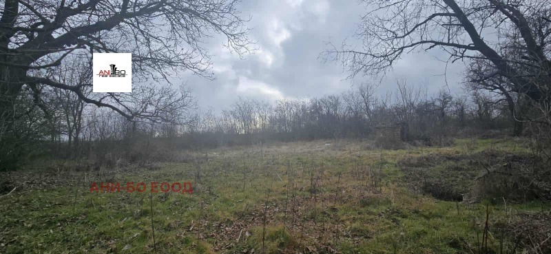 Продава ПАРЦЕЛ, с. Червенци, област Варна, снимка 2 - Парцели - 52218486